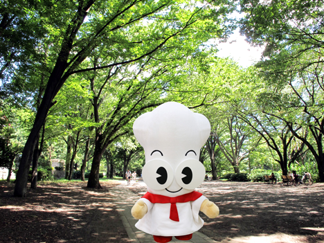 写真