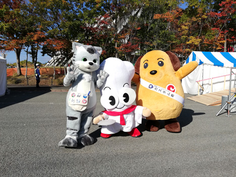 ターニーとグラ、カスタム君