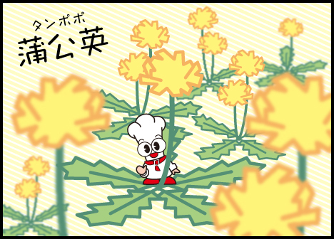 ターニー　この前道を歩いていたらタンポポを見つけて春を感じタニ
