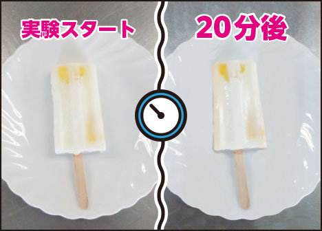 全然溶けないタニー。